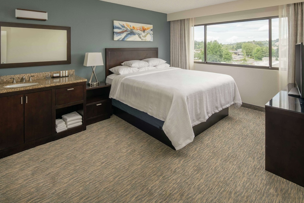 Embassy Suites by Hilton Seattle Tacoma International Airport - photo 13