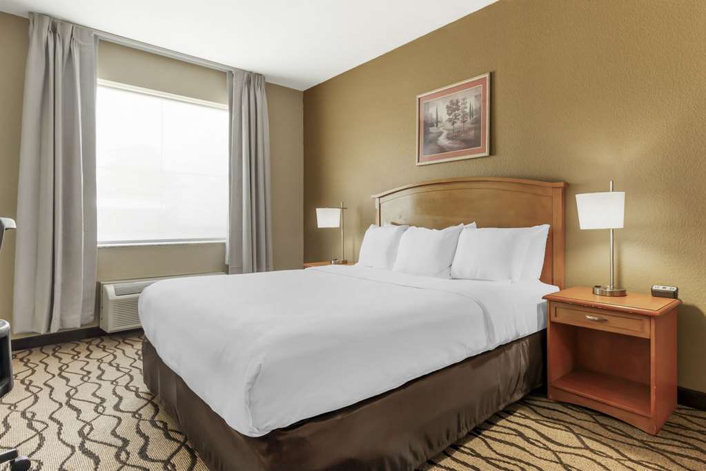 Comfort Inn & Suites Chesapeake Portsmouth - photo 13