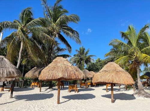 Arena Room - carbon neutral hotel in Cancun