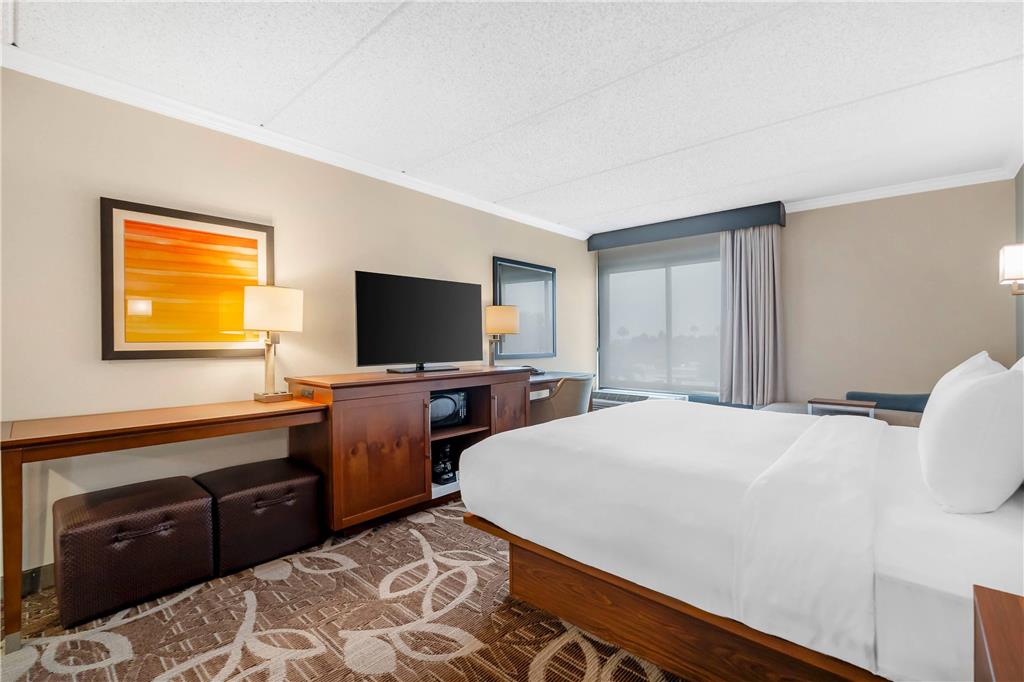 Comfort Inn Anaheim Resort - photo 11