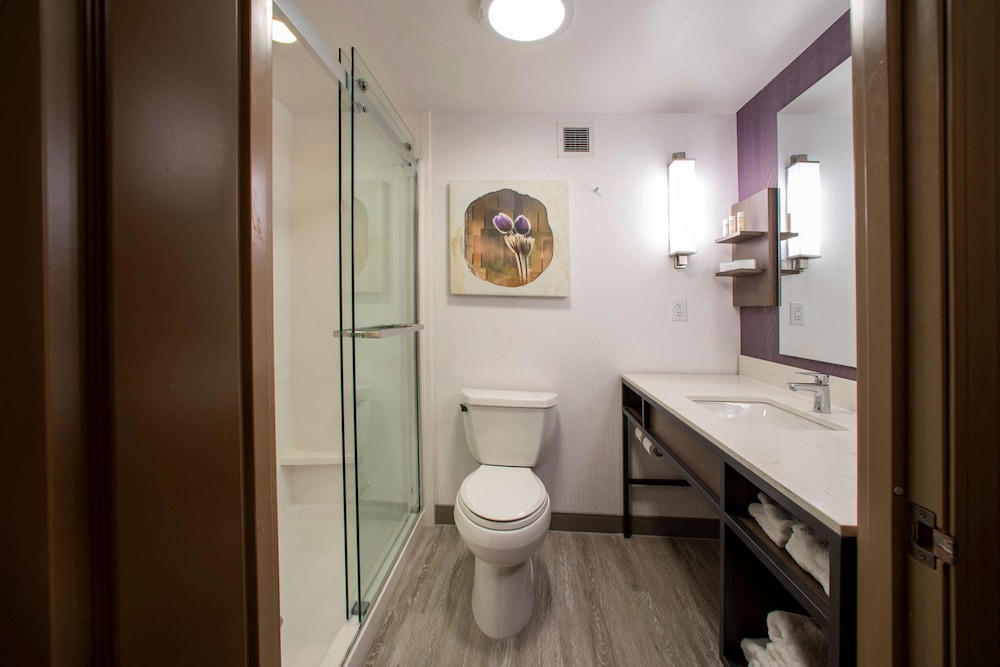 Hilton Garden Inn Rapid City - photo 47