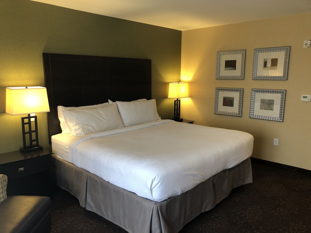 Holiday Inn Express Hotel & Suites Lansing Dimondale by IHG - photo 16