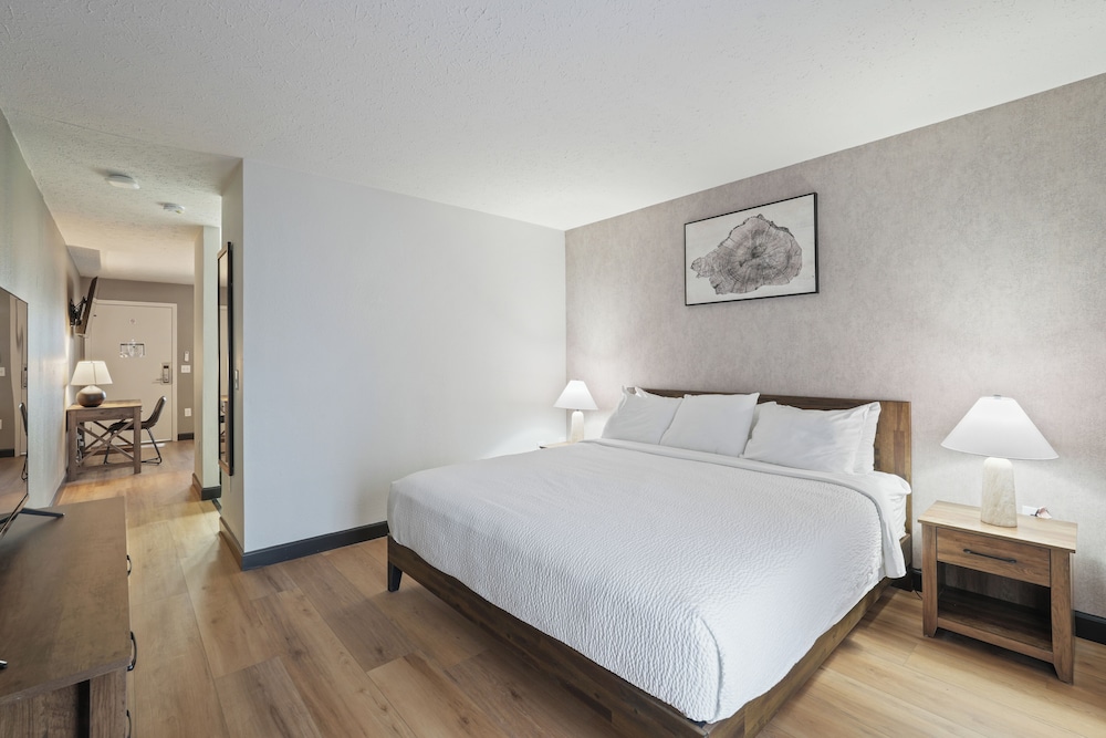Tremont Lodge & Resort - photo 49