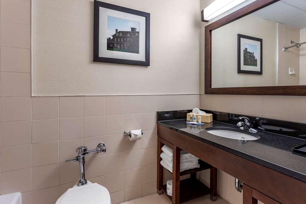 Comfort Inn Syosset Long Island - photo 8