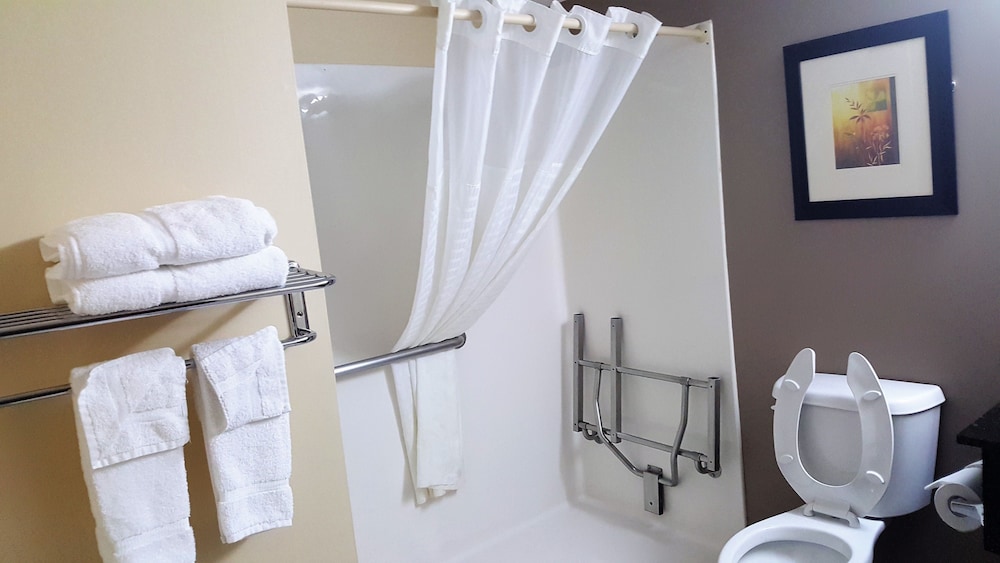 Baymont by Wyndham Belleville Airport Area - photo 26