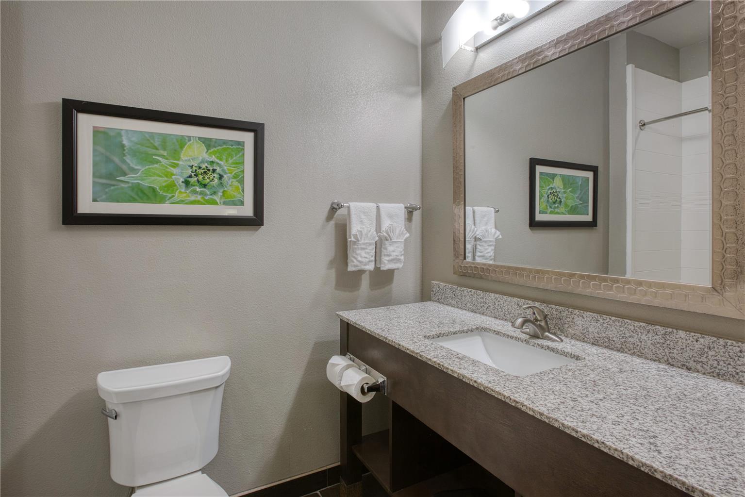 Best Western Plus Tech Medical Center Inn - photo 43