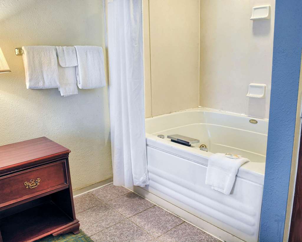 Quality Inn Thornburg - photo 26