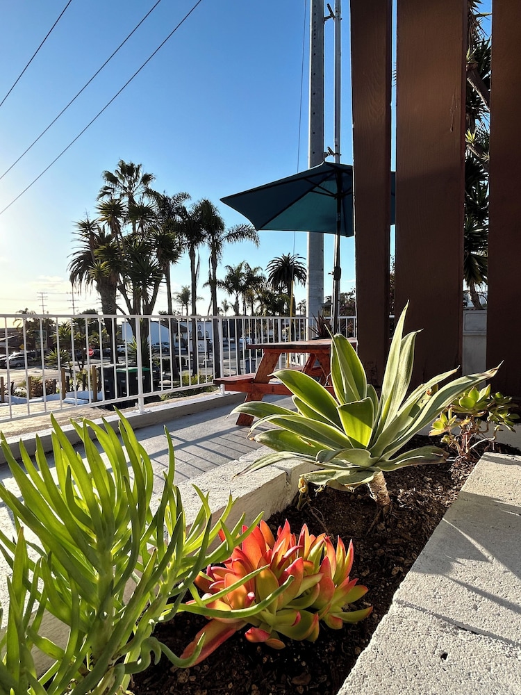 West Coast Surf and Stay - photo 29