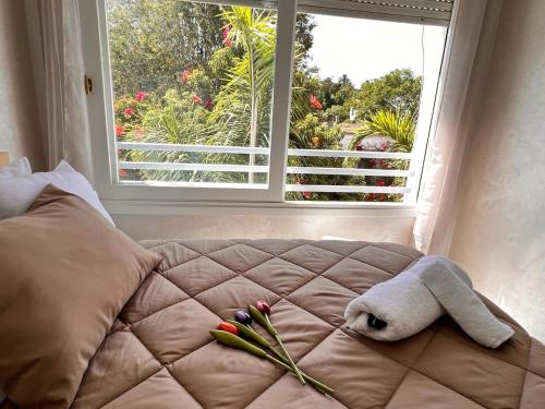 Studio de charme rénové Fibre Centre Rabat — 4-Star Luxury Hotel in Rabat, Morocco
