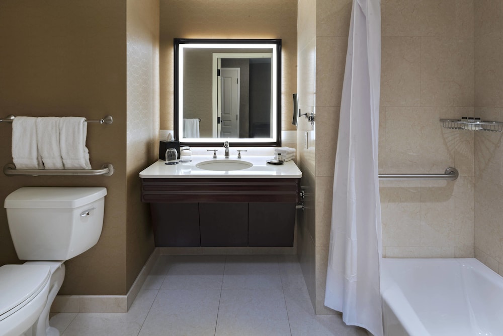 Sheraton Austin Georgetown Hotel & Conference Center - photo 21