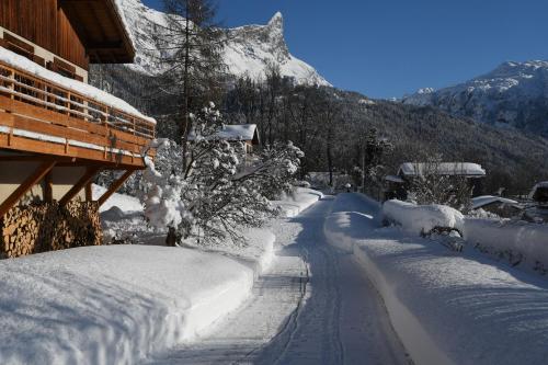Face Mont Blanc — Passy