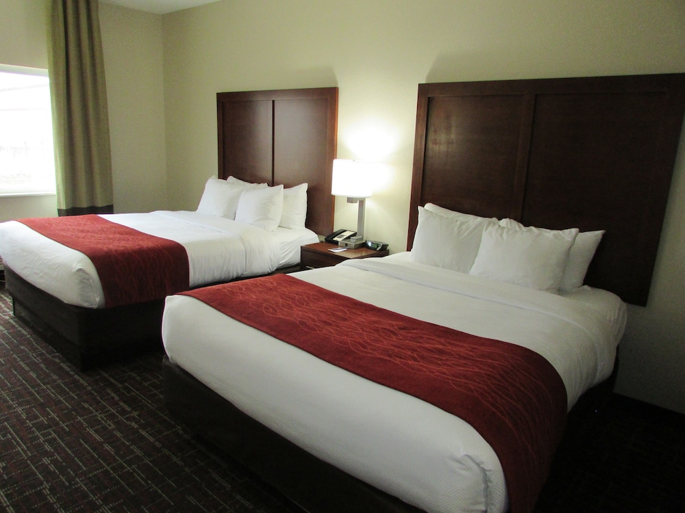 Comfort Inn Wichita Falls Near University - photo 5