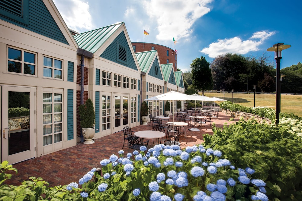 Beechwood Hotel - photo 53