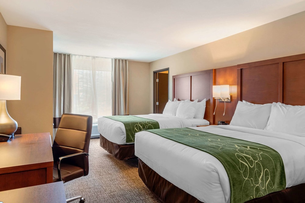 Comfort Inn & Suites Schenectady Scotia - photo 13
