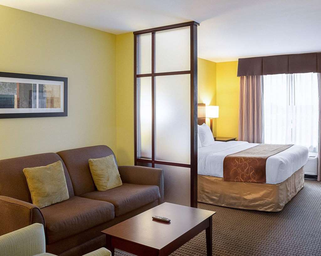 Comfort Suites Harvey New Orleans West - photo 17