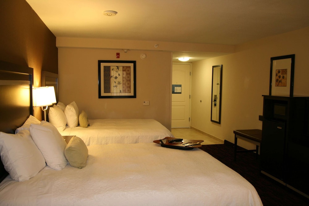 Hampton Inn Jericho Westbury - photo 17
