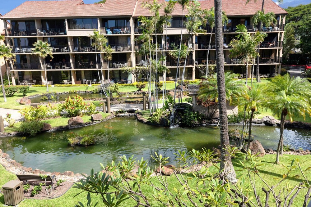 Panoramic Ocean View 1br Condo Suite 150 Feet From The Ocean At Papakea Ocean Front Resort 1 Bedroom Condo by RedAwning - photo 23