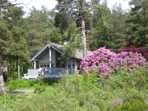 Fjordhytte 40 im Vestland Hordaland nahe Rosendal in Rosendal, Norway