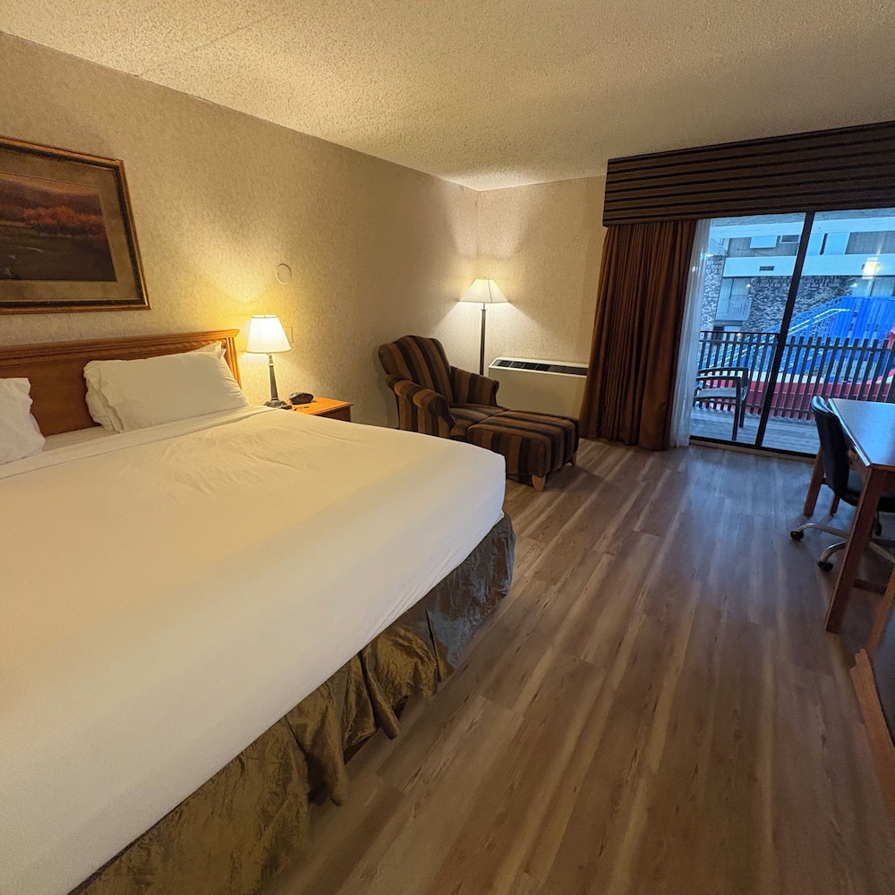 Bismarck Hotel and Conference Center - photo 13
