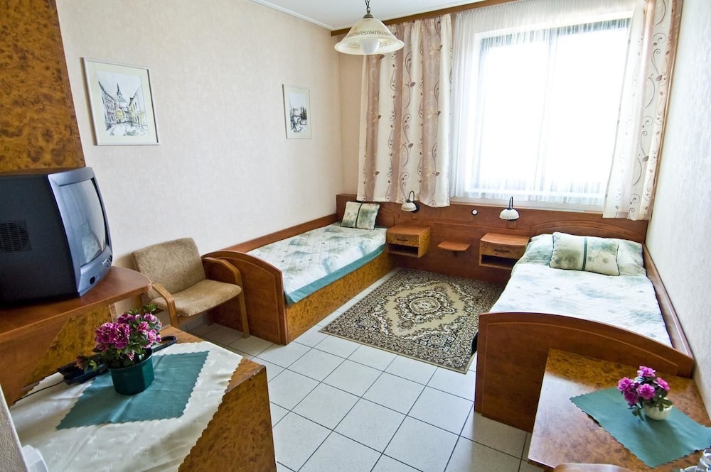 Hotel Relax U Drsu in Tabor, Czech Republic