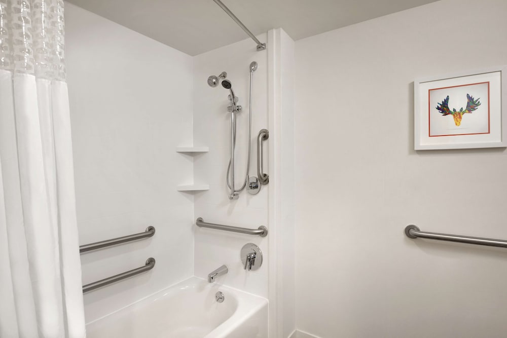Hampton Inn Atlanta Buckhead - photo 12