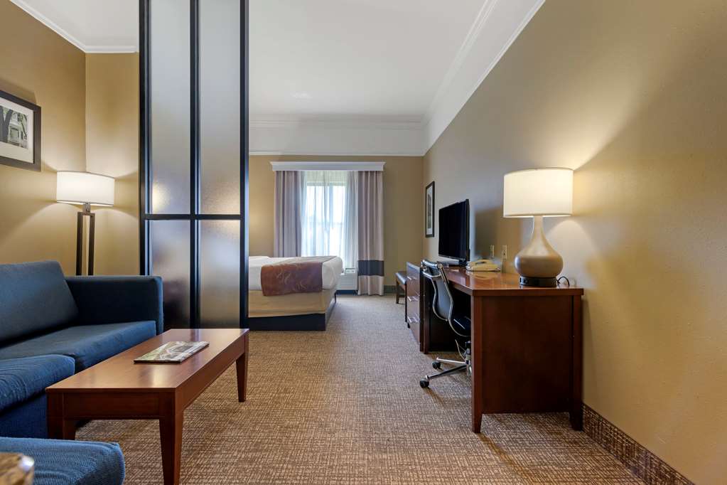 Comfort Suites Savannah North I 95 - photo 10