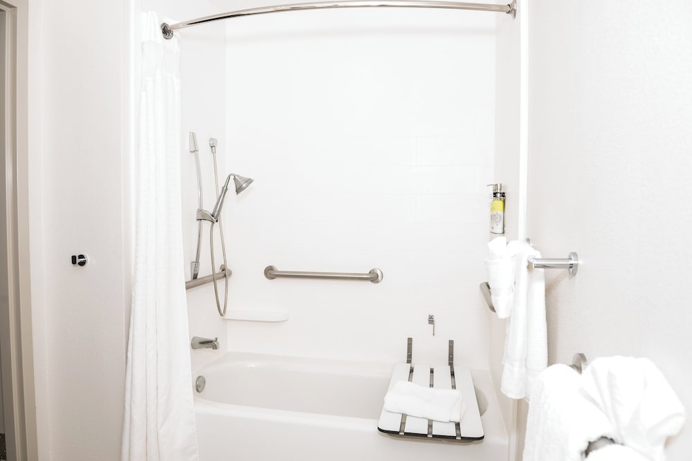 Holiday Inn Express & Suites Tampa USF Busch Gardens by IHG - photo 14