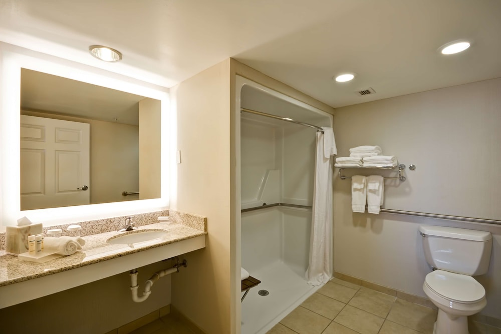 Homewood Suites by Hilton Dulles Int'l Airport - photo 24
