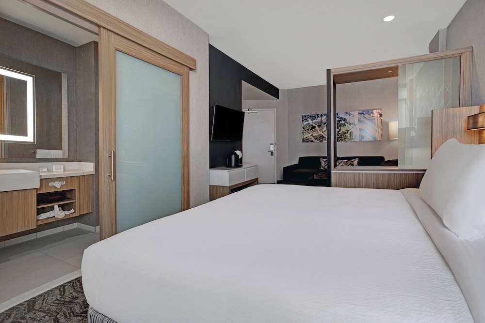 SpringHill Suites by Marriott Franklin Cool Springs - photo 16