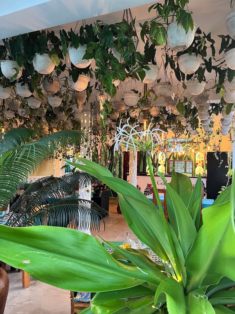 Gadea Boutique Hotel& Gadea Garden Italian Restaurant in Zanzibar, Tanzania