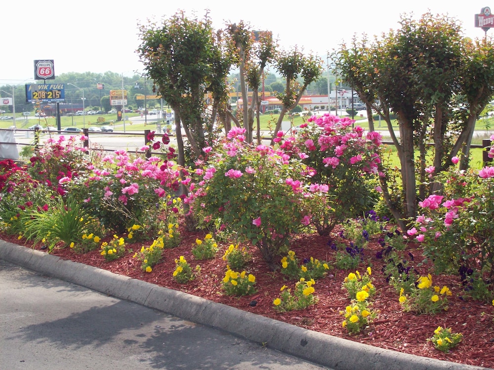 Quality Inn Clinton Knoxville North - photo 26