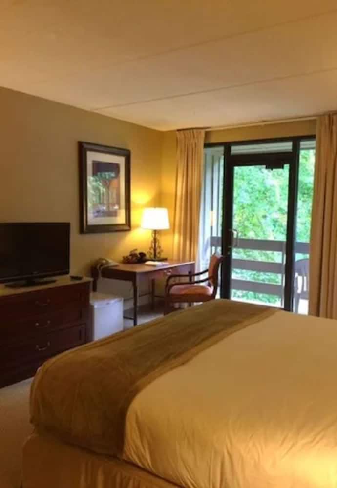 Fontana Village Resort - photo 6