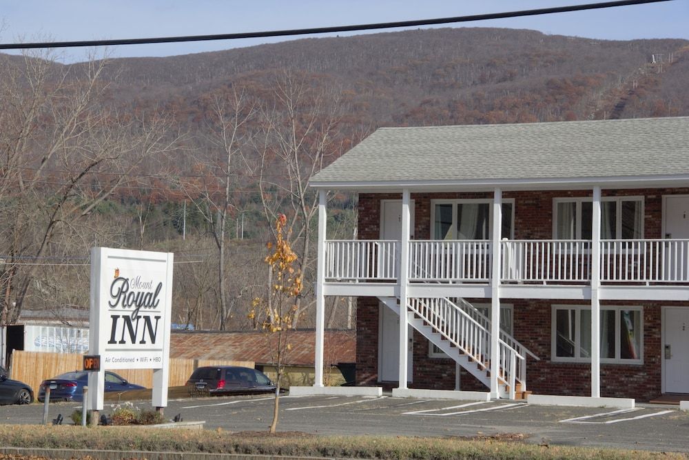 Mount Royal Inn - photo 7