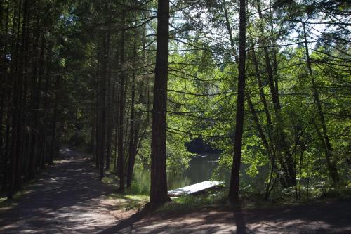 Lakedale Resort - photo 52