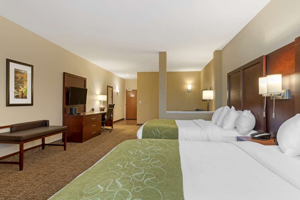 Comfort Suites Piedmont Greenville South - photo 29