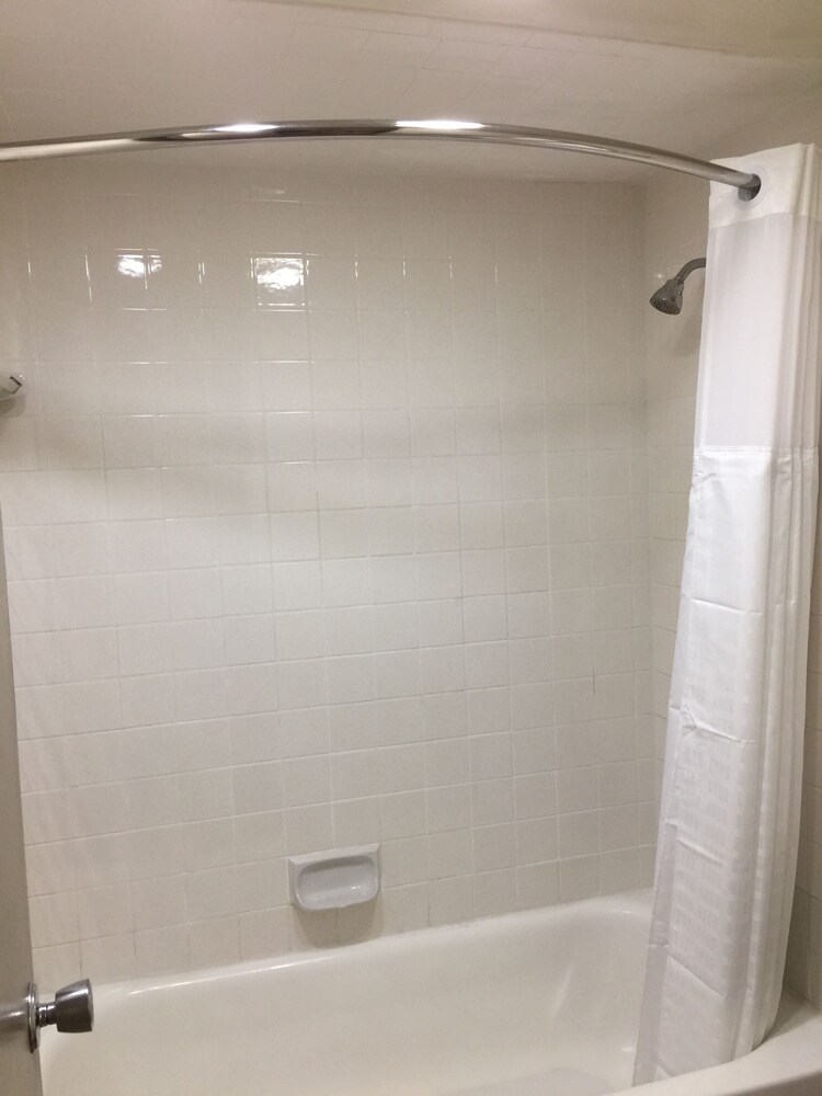 Rodeway Inn Holiday FL - photo 14