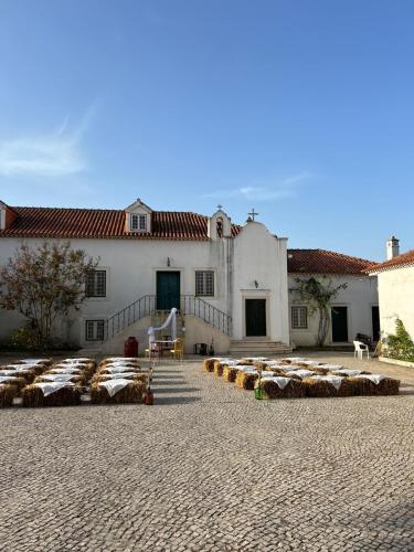 Santuário SOS Animal in Santarem, Portugal