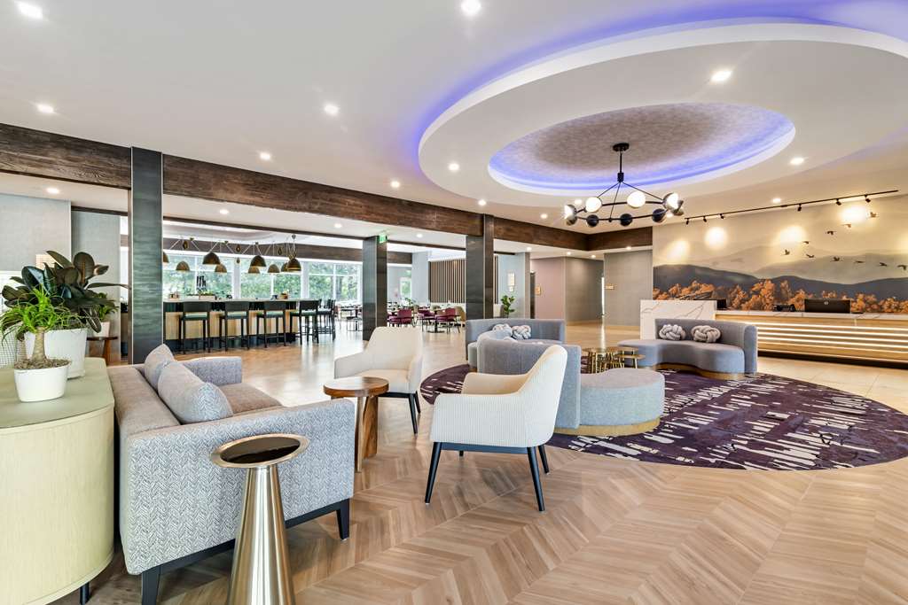 Cambria Hotel North Conway - photo 9