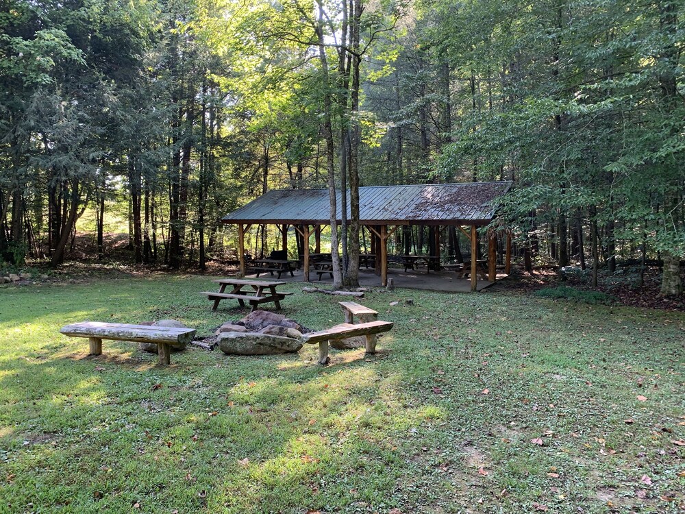 Twisted Pines by Smoky Cove Resort - photo 13