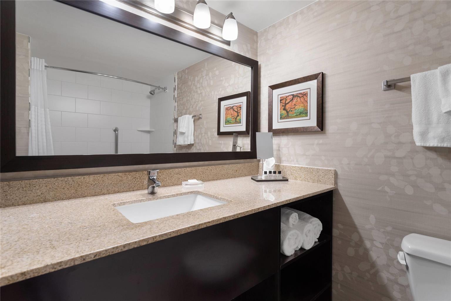Wyndham Minneapolis South Burnsville - photo 15