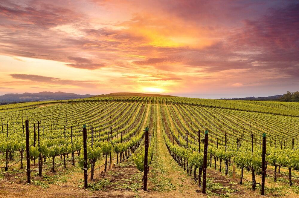 Romance off the Silverado in Napa by RedAwning — 4-Star Luxury Hotel in Napa, United States