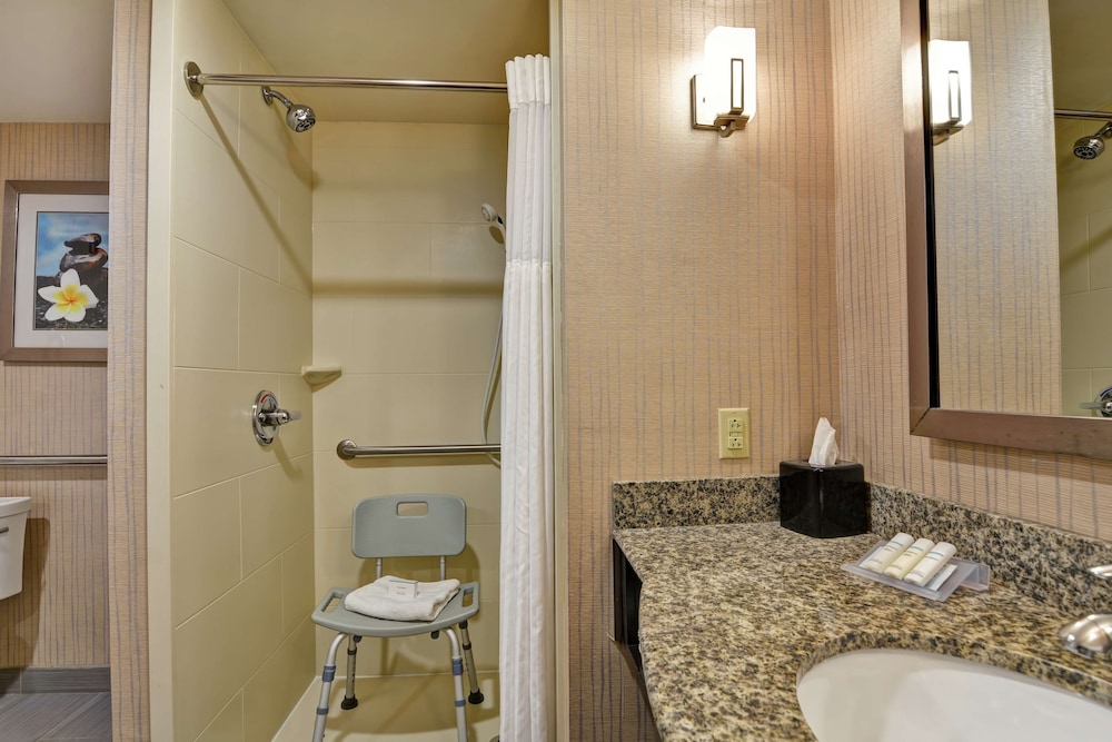 Hilton Garden Inn West Little Rock - photo 19