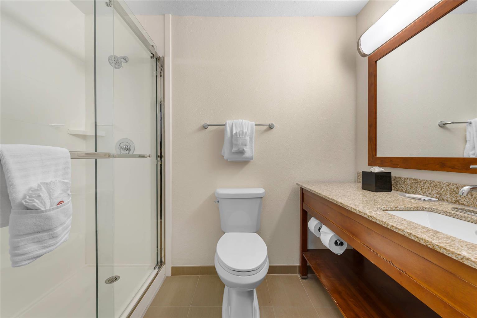 Comfort Inn & Suites Carbondale on the Roaring Fork - photo 29