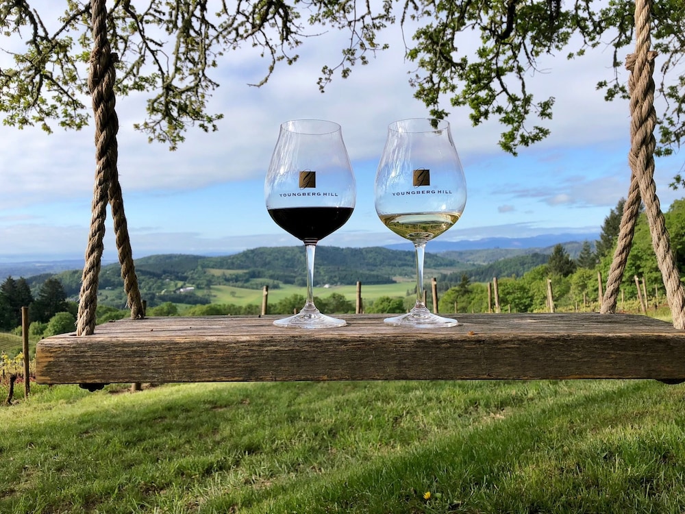 Youngberg Hill - photo 41
