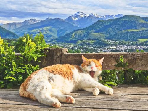 Hipyrenees Top Studio - last minute hotel in Unknown City