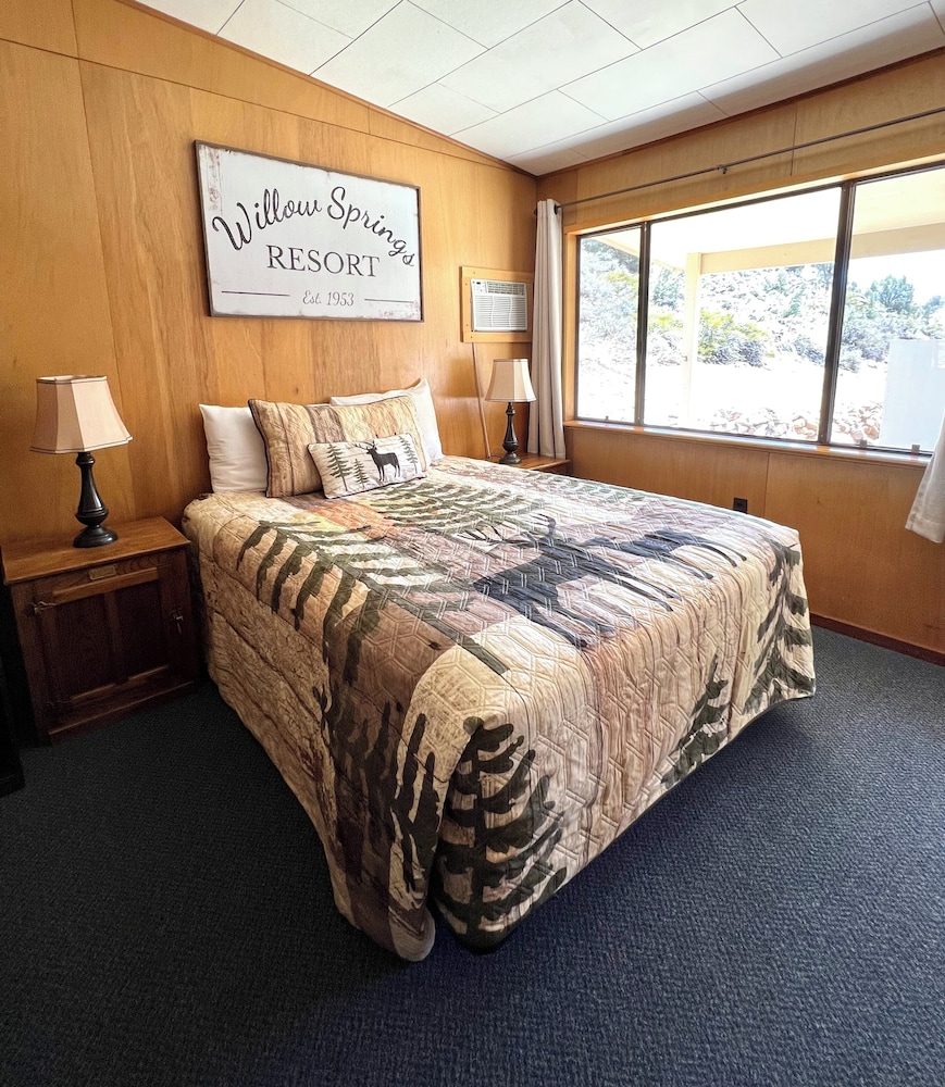 Willow Springs Resort - photo 8