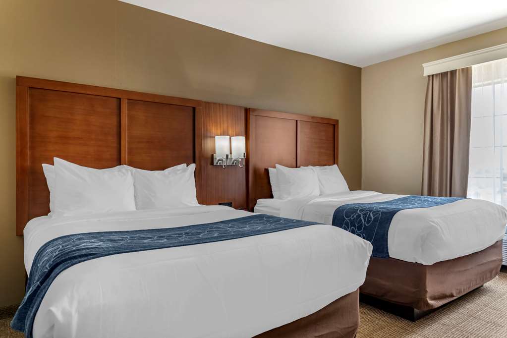 Comfort Suites Buda Austin South - photo 17