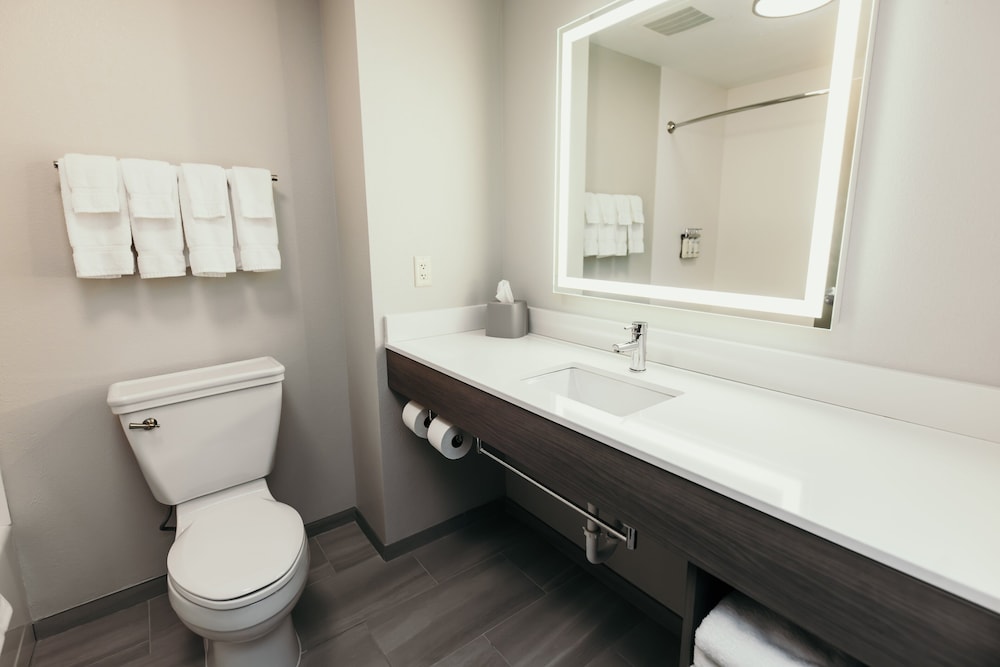 Holiday Inn Express and Suites Urbandale by IHG - photo 13