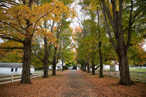 Inn At Richmond - photo 11