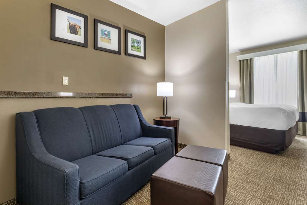 Comfort Suites Plano Dallas North - photo 12